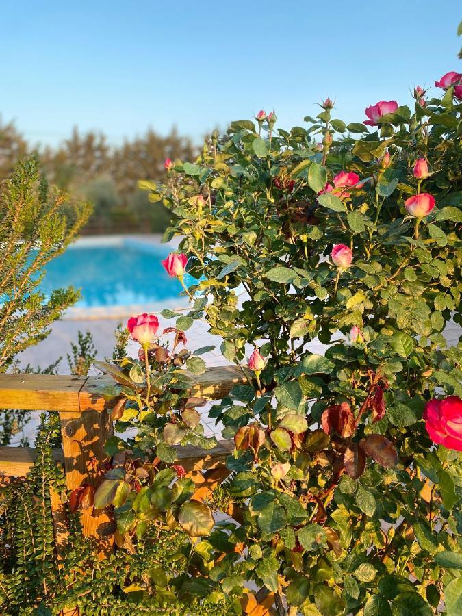 Agriturismo Le Giare Bagno Roselle Bagian luar foto