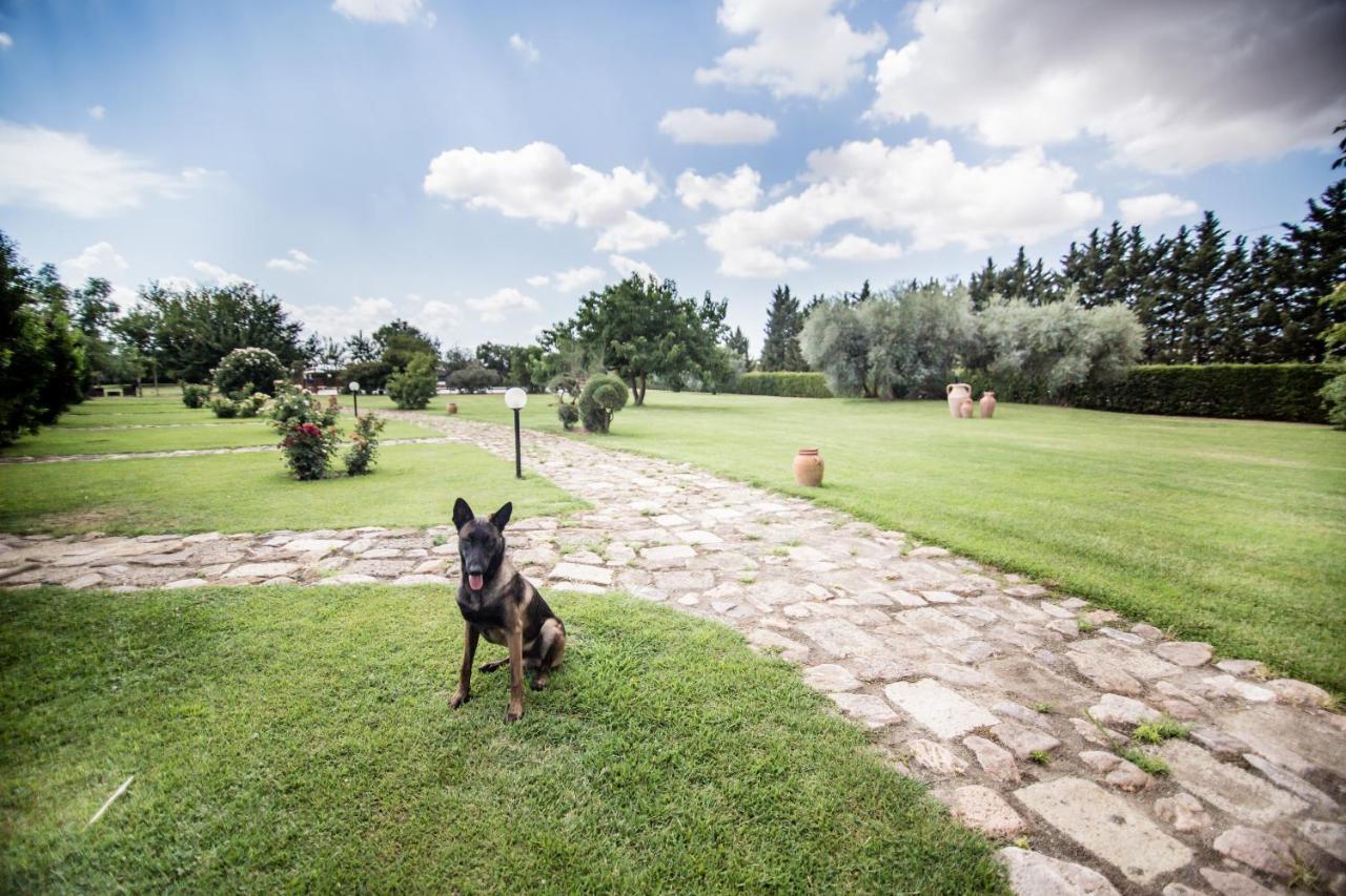 Agriturismo Le Giare Bagno Roselle Bagian luar foto